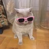 Гоня Конопляев's profile picture