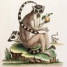 Bonobeau profil fotoğrafı
