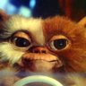 Daniel0101 profil fotoğrafı