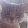 Curious's profile picture