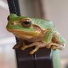 Profilbild von simoyr-しもょり-