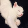 Profilbild von Pinky