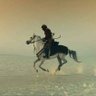 Фото профиля حفيد المثنى