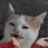 Profilbild von GenderDead (18+)