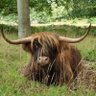 Sir Kathy Pearson's profile picture