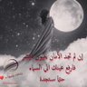 محمد الجندي 的头像