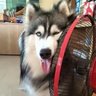 Profilbild von Jack