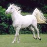 فوز الديولي's profile picture