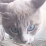 あっUFO!?'s profile picture