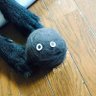 うい 的头像