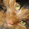 AntennasUp's profile picture