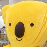 りんりん(八方塞がり)'s profile picture