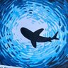 llorimo's profile picture