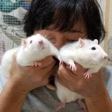 kana69311979's profile picture