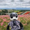 あんくん🤖R҉o҉B҉o҉H҉o҉N҉🔧 ロボホン's profile picture