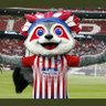 Profilbild von knib