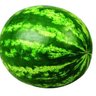 GraduallyWatermelon's profile picture