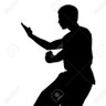 Song Goku's profile picture