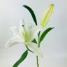 Anne's profile picture
