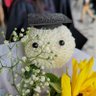 Tualaoyah profil fotoğrafı