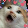 Profilbild von babygirl