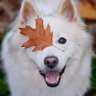 ヤスユキツカモト profil fotoğrafı