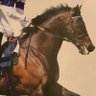 Oakgrove Stud profil fotoğrafı