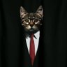 Erkin Ceylan's profile picture