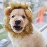 Redemtion profil fotoğrafı