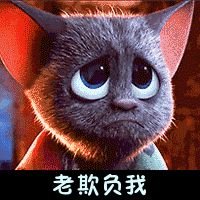 straysmallcat's profile picture