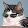Profilbild von Daniel