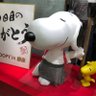 正子7613 profil fotoğrafı