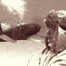 Фото профиля なおnaoなお