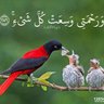 Profilbild von عبودي العراقي