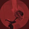 Lol's profile picture