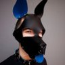 Фото профиля Pup Sky☁️ 🔜 …