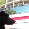 Rolo profil fotoğrafı