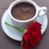 Fared Khafaga 01233924781 profil fotoğrafı