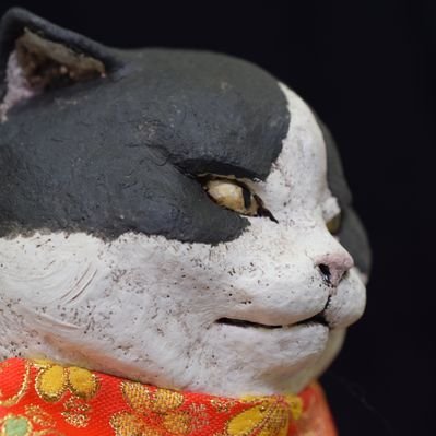 白亜器 hakuaki's profile picture