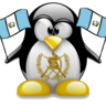 tegua profil fotoğrafı