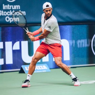 Fernando Verdasco's profile picture