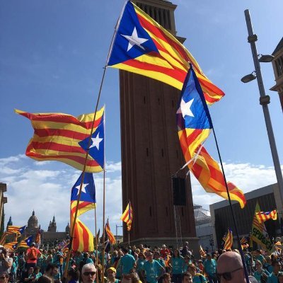 Resistència Catalana 🏴's profile picture