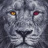 metoden's profile picture