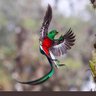 jehan ashour profil fotoğrafı