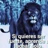 Luis morales's profile picture