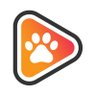 Cat Videos 的头像