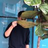 Profilbild von Guo Jun