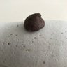 TALK SHIT TACO 的头像