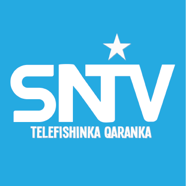 sntvnews1's profile picture