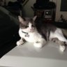 Barbara Buchman's profile picture